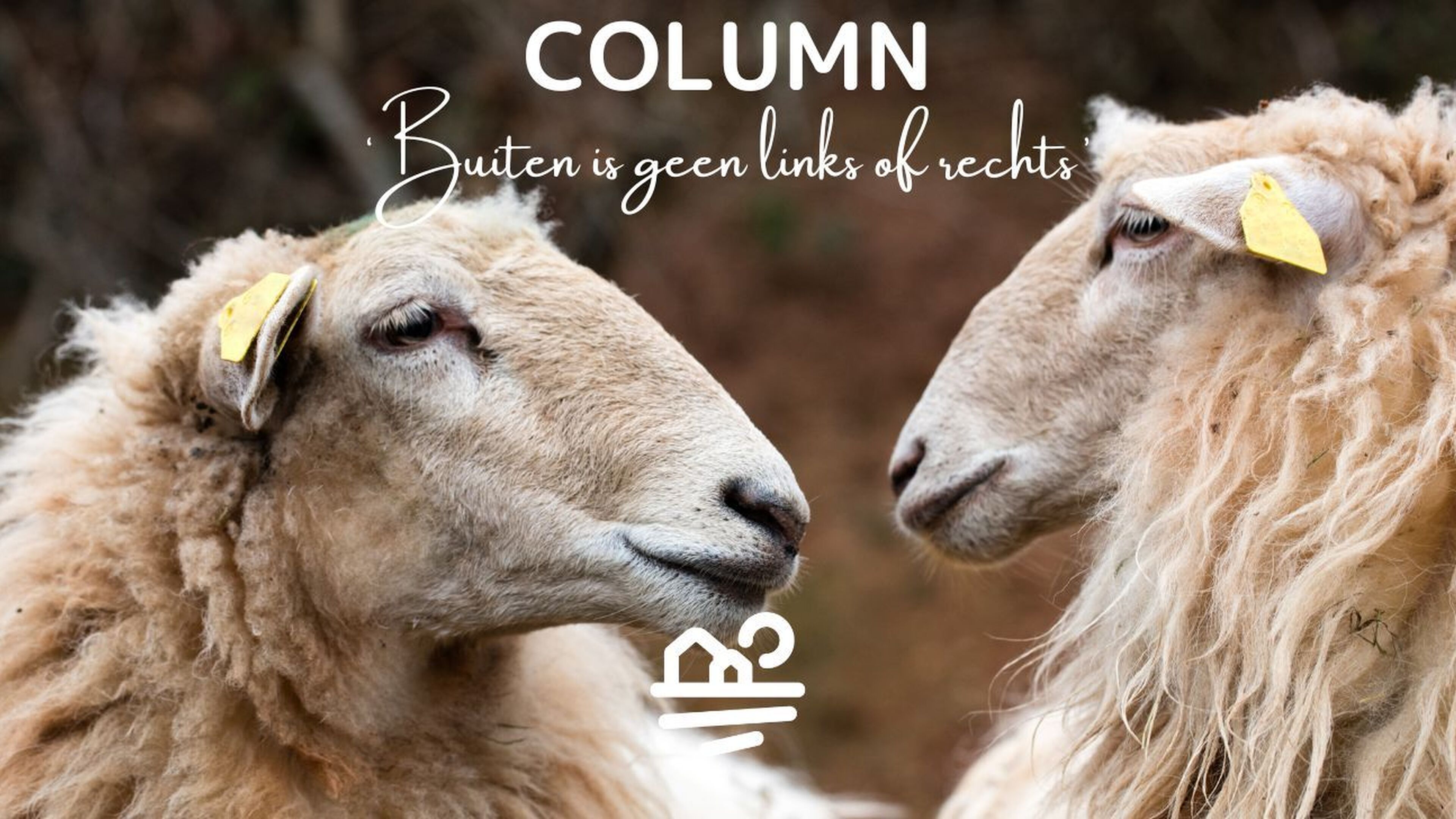 Column DLB Buiten is geen links of rechts