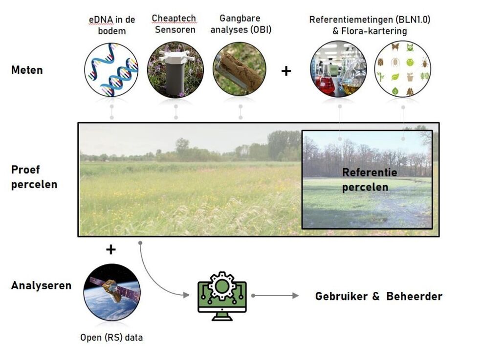 2024 Overzicht metingen